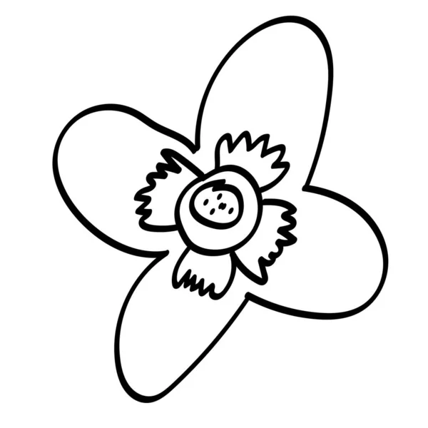 Única Flor Outlne Doodle Folha Planta Galho Vector Doodle Clipart — Vetor de Stock