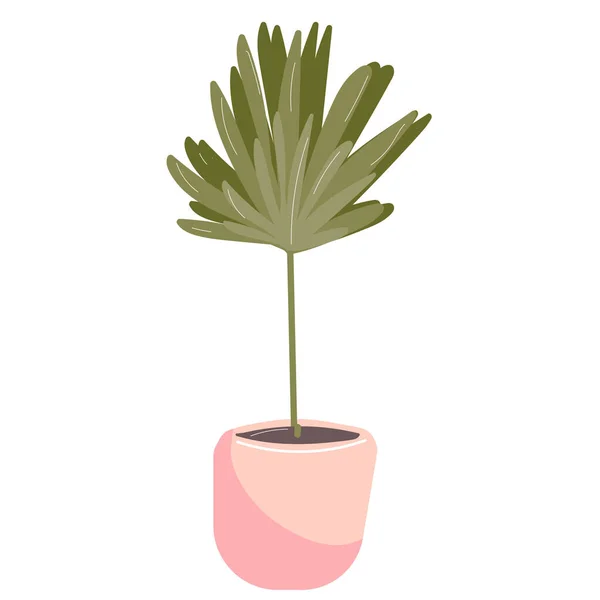 Plantas Casa Cor Desenhado Mão Ilustrações Conjunto Decorações Para Casa — Vetor de Stock