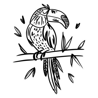 Toucan doodle el boyama sayfası. İskandinav tarzında soyut bir hayvan çizgi filmi. Vahşi yağmur ormanları hayvanı. Yaprakları, çiçekleri ve benekleri olan çim dalları tasarım elementi. Tropikal orman