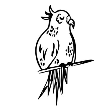 Tek el egzotik tropikal yaprak çizdi. Karalama stilinde, siyah ana hat beyaz bir arkaplanda izole edilmiş. Kartlar, posterler, sosyal medya afişleri, çıkartmalar için hoş bir unsur. Vektör illüstrasyonu.