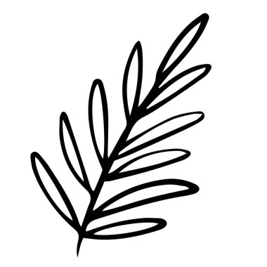 Tek el egzotik tropikal yaprak çizdi. Karalama stilinde, siyah ana hat beyaz bir arkaplanda izole edilmiş. Kartlar, posterler, sosyal medya afişleri, çıkartmalar için hoş bir unsur. Vektör illüstrasyonu