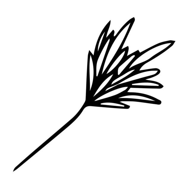 Ένα Χέρι Ζωγραφισμένο Εξωτικό Τροπικό Φύλλο Στυλ Doodle Μαύρο Περίγραμμα — Διανυσματικό Αρχείο