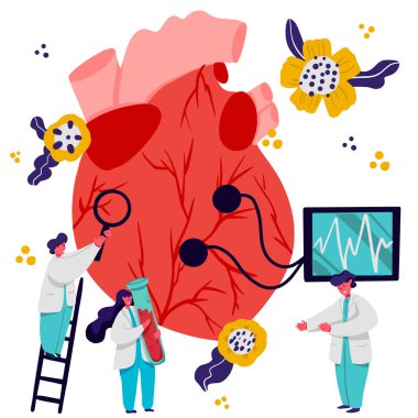 İnsan Kalbi. Kardiyoloji konsepti. Doktorlar. Kardiyoloji teşhisi. Çizgi Doktor İnsanlar Vektör İllüstrasyonu.