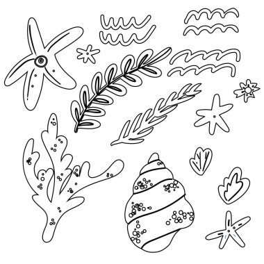 Deniz tarağı kabuğu, çizim stili vektör çizimi beyaz arkaplanda izole edilmiş. Gerçekçi el çizimi tuzlu su deniz kabuğu, deniz kabuğu, deniz kabuğu, deniz kabuğu