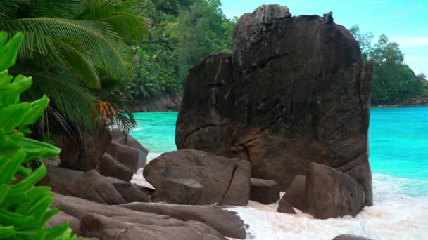海浪与花岗岩岩石 塞舌尔马埃岛 — 图库视频影像