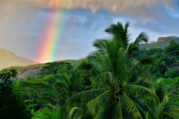 Regenboog over het paradijs, Seychellen Mahe Island — Stockfoto