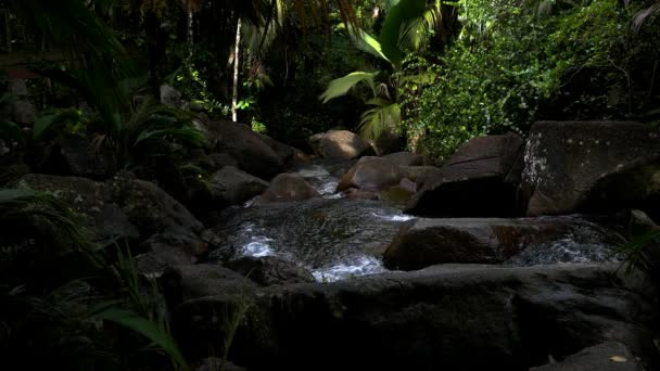 Éclaboussures de ruisseau de montagne sur des rochers de granit, île Mahe, Seychelles 