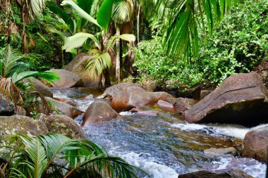 Mountain stream splashing on granite rocks near Sauzier waterfall, Mahe Island, Seychelles.Wide shot.