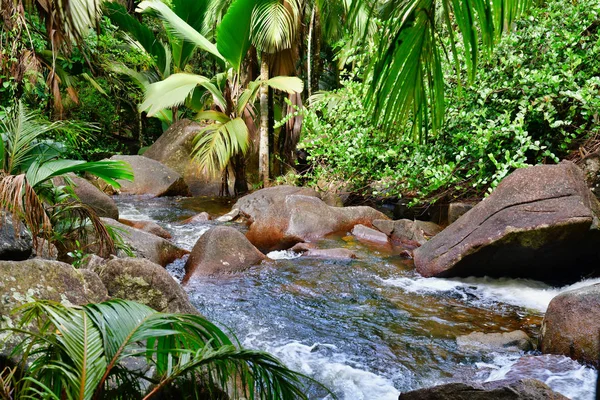 Gebirgsbach Plätschert Auf Granitfelsen Der Nähe Von Sauzier Wasserfall Maheinsel — Stockfoto