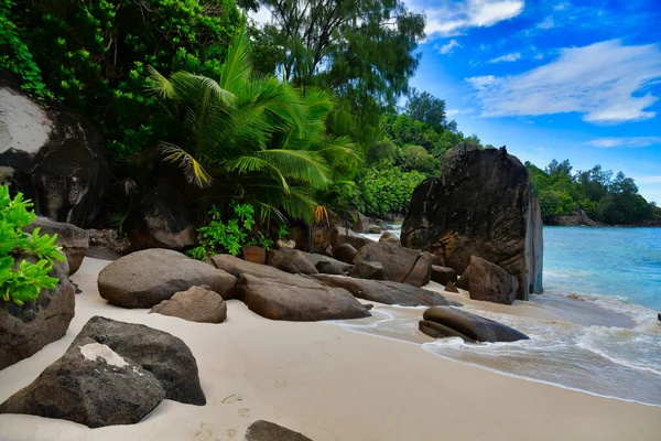 Havbølger Granittsteiner Anse Intendance Mahe Island Seychellene Palmetrær Sand Bølgebrytere – stockfoto