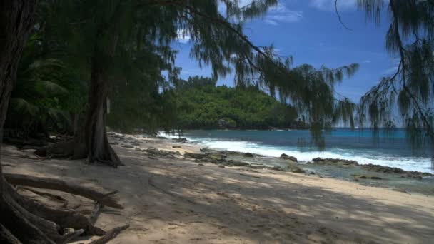 Ondas oceânicas, rochas de granito e pinheiros - Petite Police Beach Mahe, Seychelles . — Vídeo de Stock