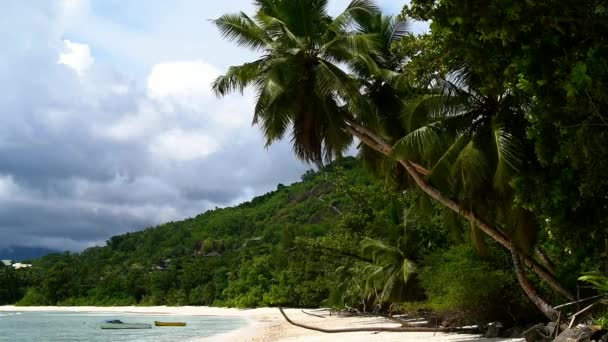 Ocean waves and palm trees. Mahe Island Seychelles. — Stockvideo