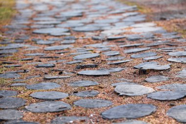 Orman yolu ağaç kütükleriyle yapıldı.