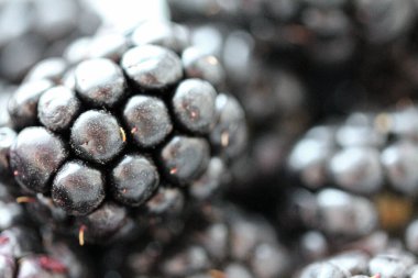 Background with fresh blackberry closeup