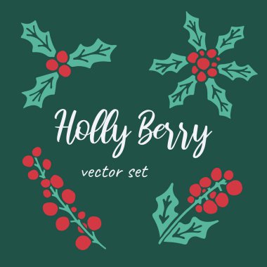 Vektör el çizimi Noel meyvesi setinin karalama çizimi