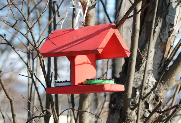 Alimentador de pássaros de madeira com telhado para aves e animais no parque da cidade — Fotografia de Stock