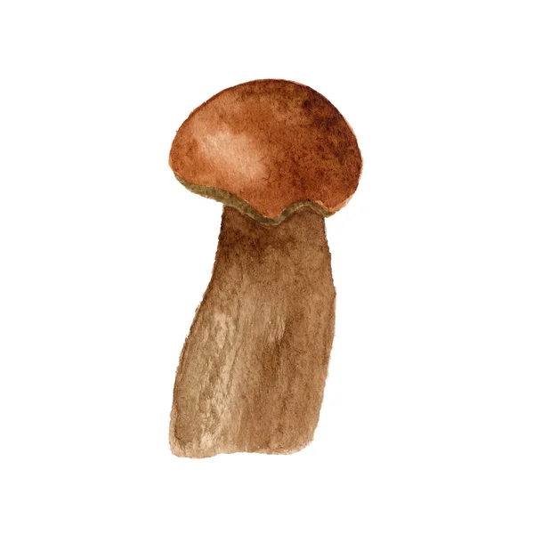 Akwarela grzyb ilustracja na białym tle — Zdjęcie stockowe