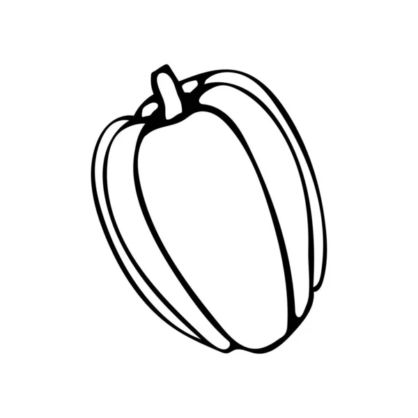 Vector mão desenhada esboço ilustração de pimentão — Vetor de Stock