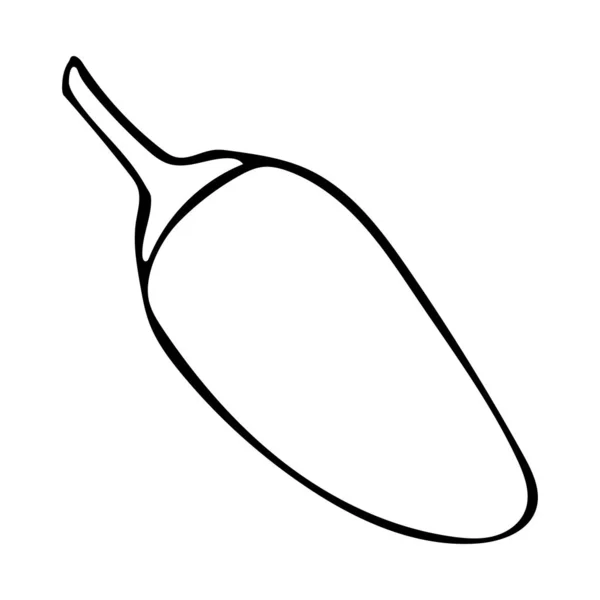 Vektor handritade kontur illustration av jalapeno peppar — Stock vektor