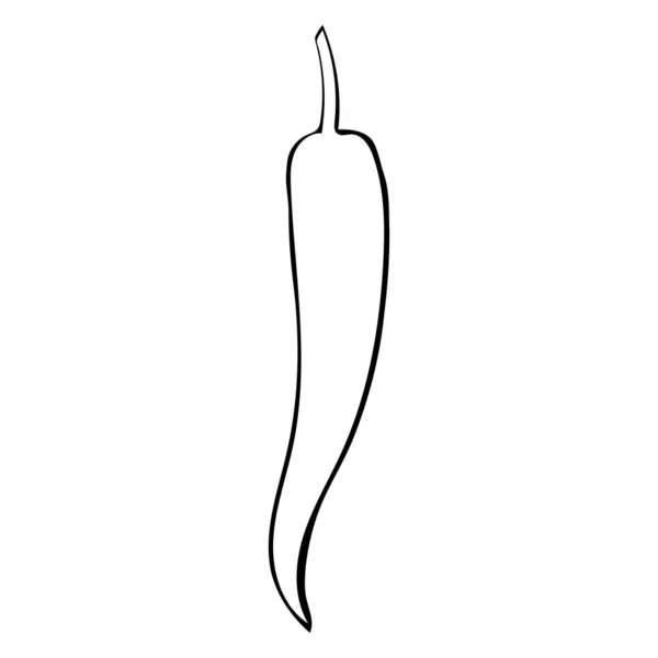 Vektorový ručně kreslený obrys ilustrace chilli papričky — Stockový vektor