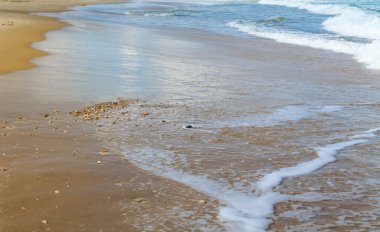 Bat Yam, İsrail 'deki kumlu sahilde deniz köpüğü