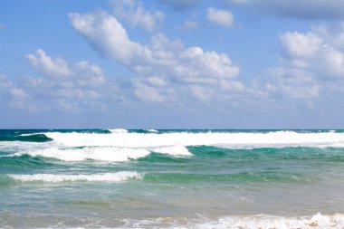 Bat Yam, İsrail 'deki kumlu sahilde deniz köpüğü