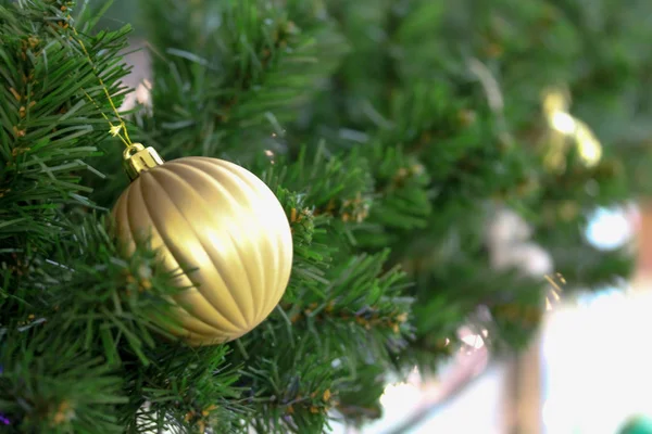 Natal ramos de abeto decorados com bugigangas douradas — Fotografia de Stock