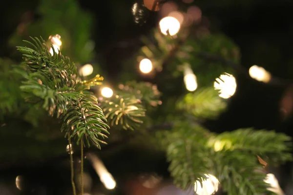 Ramos de árvore de Natal fechar decorado com luzes guirlanda — Fotografia de Stock