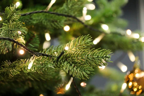 ガーランドライトで飾られたクリスマスツリーの枝を閉じる — ストック写真