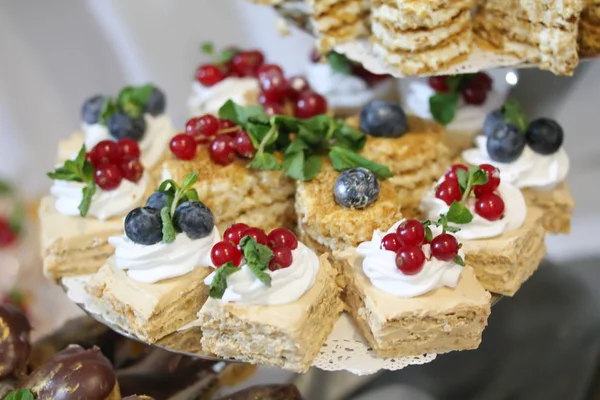 Mini gâteaux décorés de crème fouettée et de groseille fraîche — Photo