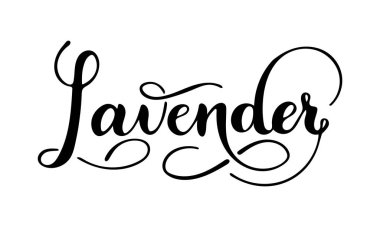 Beyaz arkaplanda izole edilmiş lavanta el yazısı