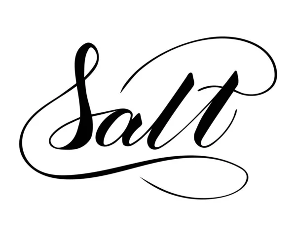 Vektor handgeschriebenen Salz Text isoliert auf weißem Hintergrund — Stockvektor