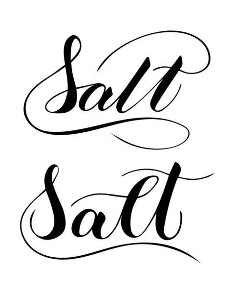 Vector hand written salt text isolated on white background — 스톡 벡터
