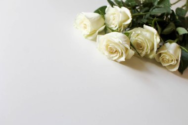 Boş yüzeyde metin için kopyalama alanı olan beyaz güller