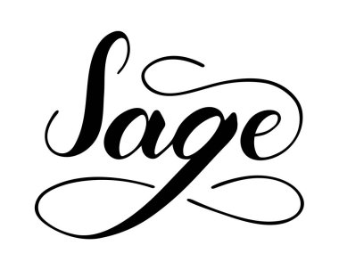 Beyaz arkaplanda izole edilmiş vektör el yazısı adaçayı metni