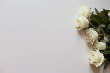 Boş yüzeyde metin için kopyalama alanı olan beyaz güller