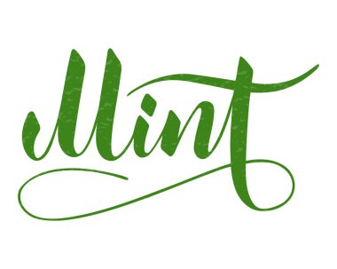 Beyaz arkaplanda izole edilmiş vektör el yazısı