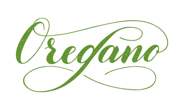 Vector hand written oregano text isolated on white background — 스톡 벡터