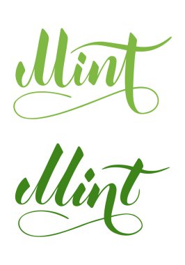 Beyaz arkaplanda izole edilmiş vektör el yazısı