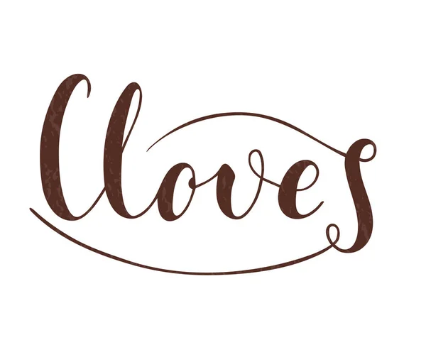 Vector hand written cloves text isolated on white background — Stock Vector
