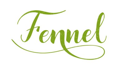 Beyaz arkaplanda izole edilmiş rezene el yazısı