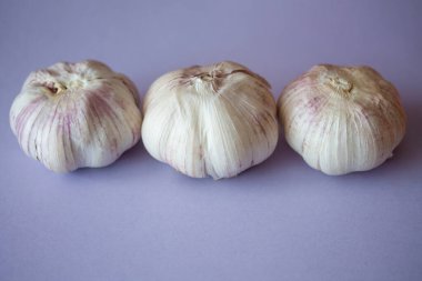 Mor arka planda üç sıra sarımsak soğanı. Mevsimlik sebzeleri kapatın. Taze organik sağlıklı yiyecekler. Baharatlı mutfak malzemesi. Özgeçmiş hasat ediliyor