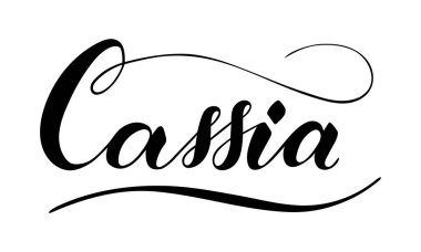 Beyaz arkaplanda izole edilmiş Cassia metni var. Yemek pişirmek için sağlıklı otlar ve baharatlar. Senaryo fırça harfleriyle süslü. Pankart, poster, ürün etiketi için el yazısı