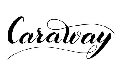 Beyaz arkaplana izole edilmiş oyma el yazısı. Yemek pişirmek için sağlıklı otlar ve baharatlar. Senaryo fırça harfleriyle süslü. Pankart, poster, ürün etiketi için el yazısı