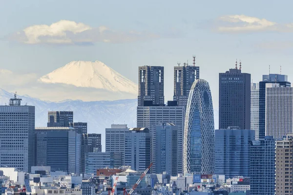 Shinjuku and Mount Fuji — Stock Photo, Image