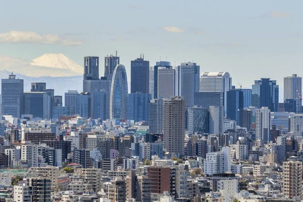 Shinjuku ve Fuji Dağı