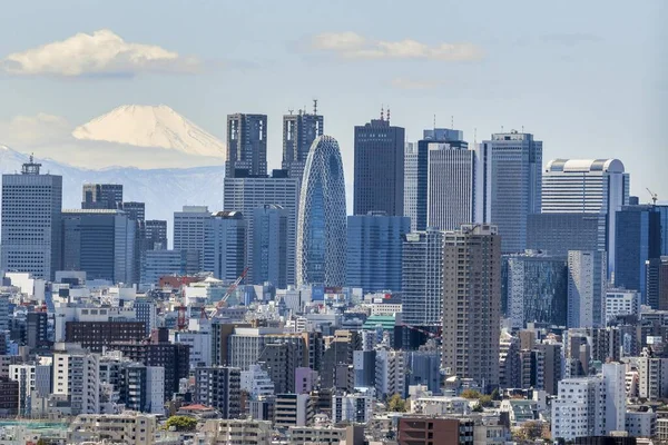 Shinjuku and Mount Fuji — Stock Photo, Image