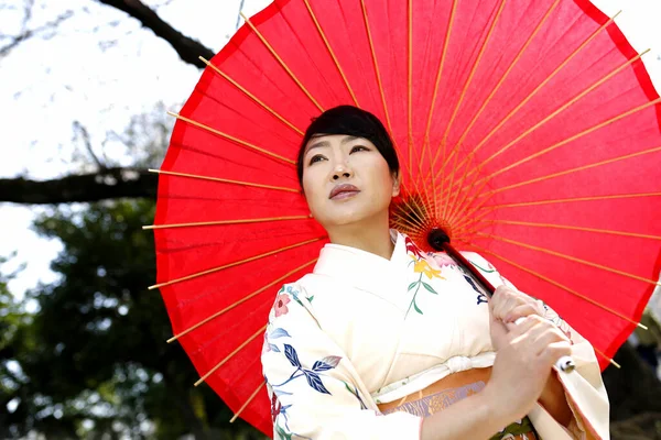 Tokyo, Japonya 'da kiraz çiçeklerinin bahçesinde beyaz kimono giyen Japon kadının portresi..