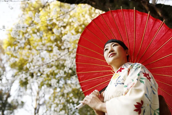 Портрет Японки Белом Кимоно Саду Цветущей Вишни Токио Япония — стоковое фото