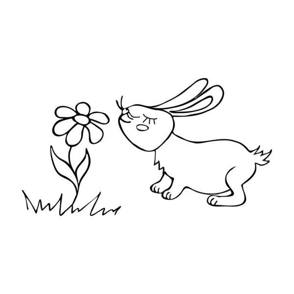 Tavşan Siyah Çizgili Bir Çiçeği Kokluyor Dekor Tasarım Için Görüntü — Stok Vektör